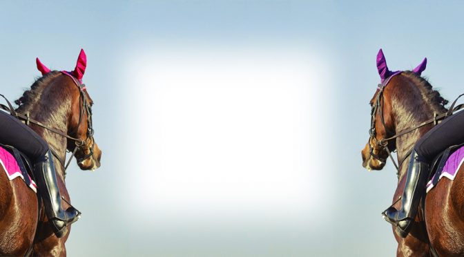 競馬の初心者におすすめの馬券